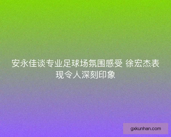安永佳谈专业足球场氛围感受 徐宏杰表现令人深刻印象