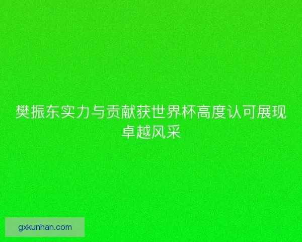 樊振东实力与贡献获世界杯高度认可展现卓越风采